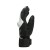 Rękawice narciarskie Dainse Hp Gloves Lily white/stretch limo
