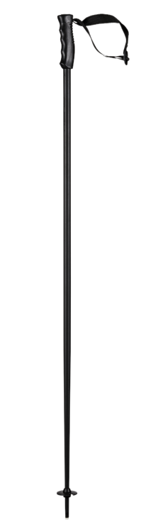 381852_MULTI_Bk_Bk_xxx_1_DL_1.png