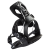 344201_RX_two_xxx_1.png