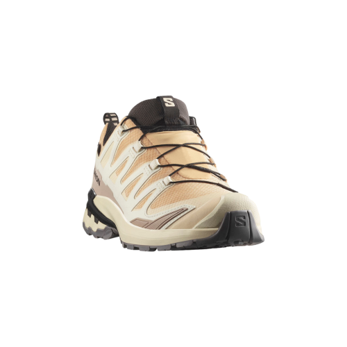 Buty damskie Salomon XA PRO 3D V9 GTX W beżowe