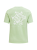 Koszulka Peak Performance damska Explore Graphic Tee zielona