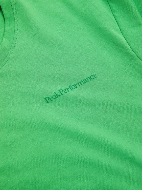 Koszulka Peak Performance męska Explore Logo Tee zielona