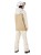 Bluza damska Oakley W.TNP Nose Grab Softshell Hoodie Mist/Pebble