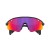 Okulary przeciwsłoneczne Oakley Stunt Devil A matte black/prizm road