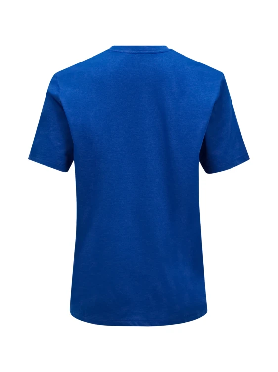 Koszulka męska Peak Performance Explore Graphic Tee true blue