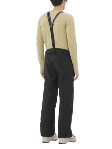 Spodnie narciarskie męskie Salomon Brilliant Pant deep black