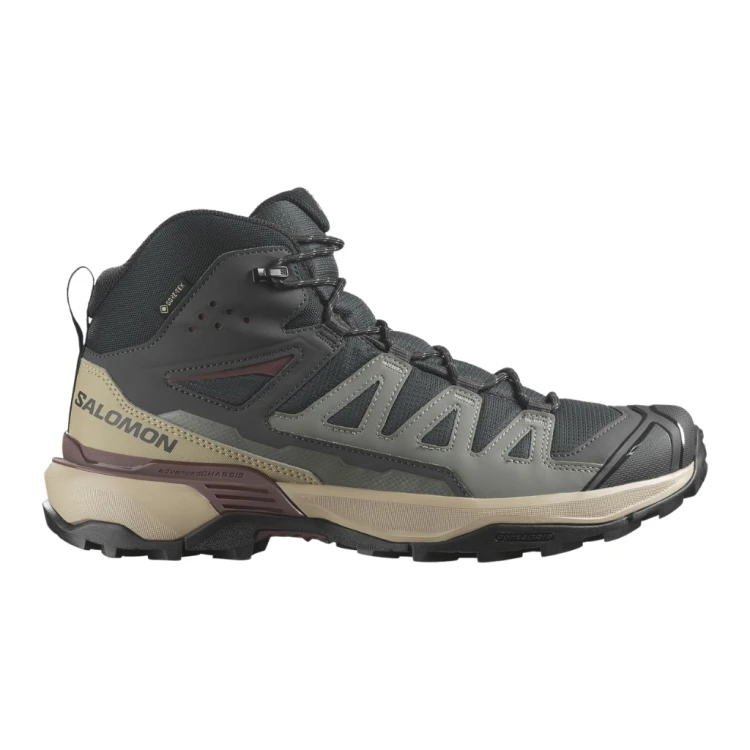 Buty męskie Salomon X Ultra 360 Mid Gore-Tex phantom/deserttan/rumraisin