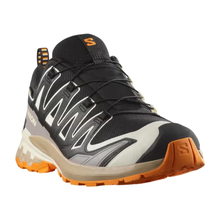 Buty męskie Salomon XA PRO 3D V9 Gore-Tex black / vanilla ice / turmeric