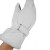 Rękawice narciarskie damskie Reusch Leonie R-TEX® XT white