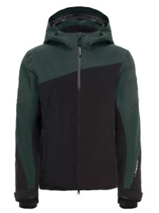 Kurtka narciarska męska Dainese Avera Dermizax EV Core Ready pineneedle/stretch limo